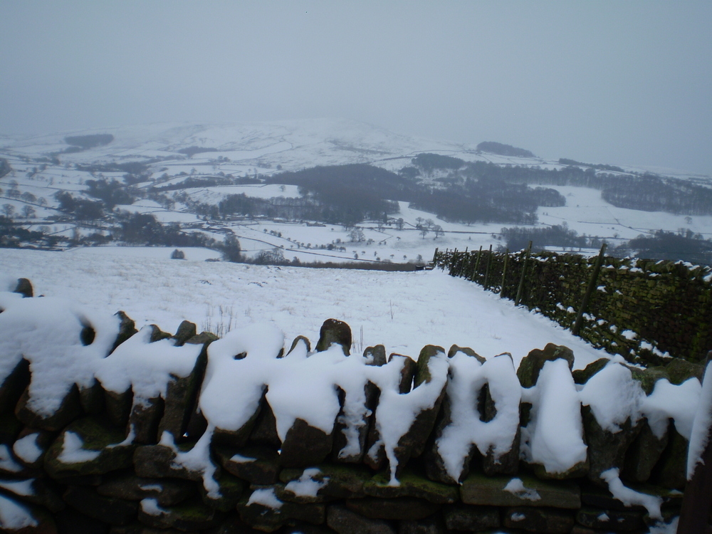 Ilkey Moor