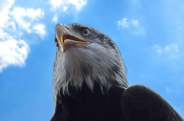 I'll keep an eye on you