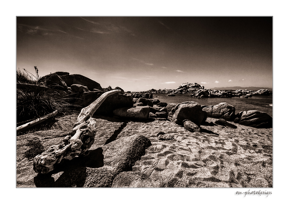 Ille Lavezzi - Stones, Tree and Beach - SW