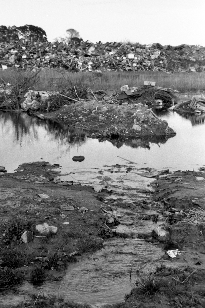 Illegale Müllkippe im Wald (1990) Nr. 1