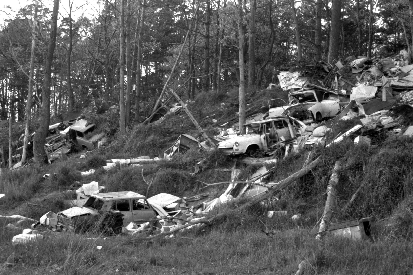 Illegale Müllkippe im Wald (1990) Nr. 3