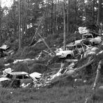 Illegale Müllkippe im Wald (1990) Nr. 3