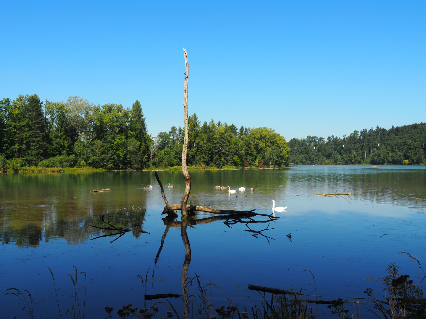 Illerstausee