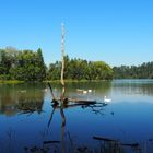 Illerstausee