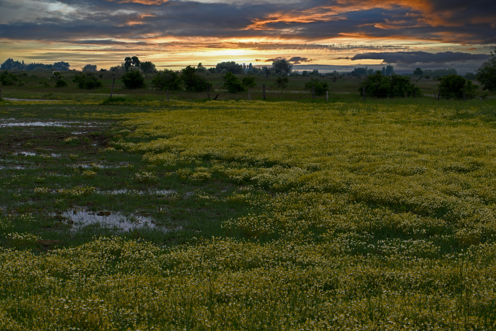 Illmitz, Burgenland