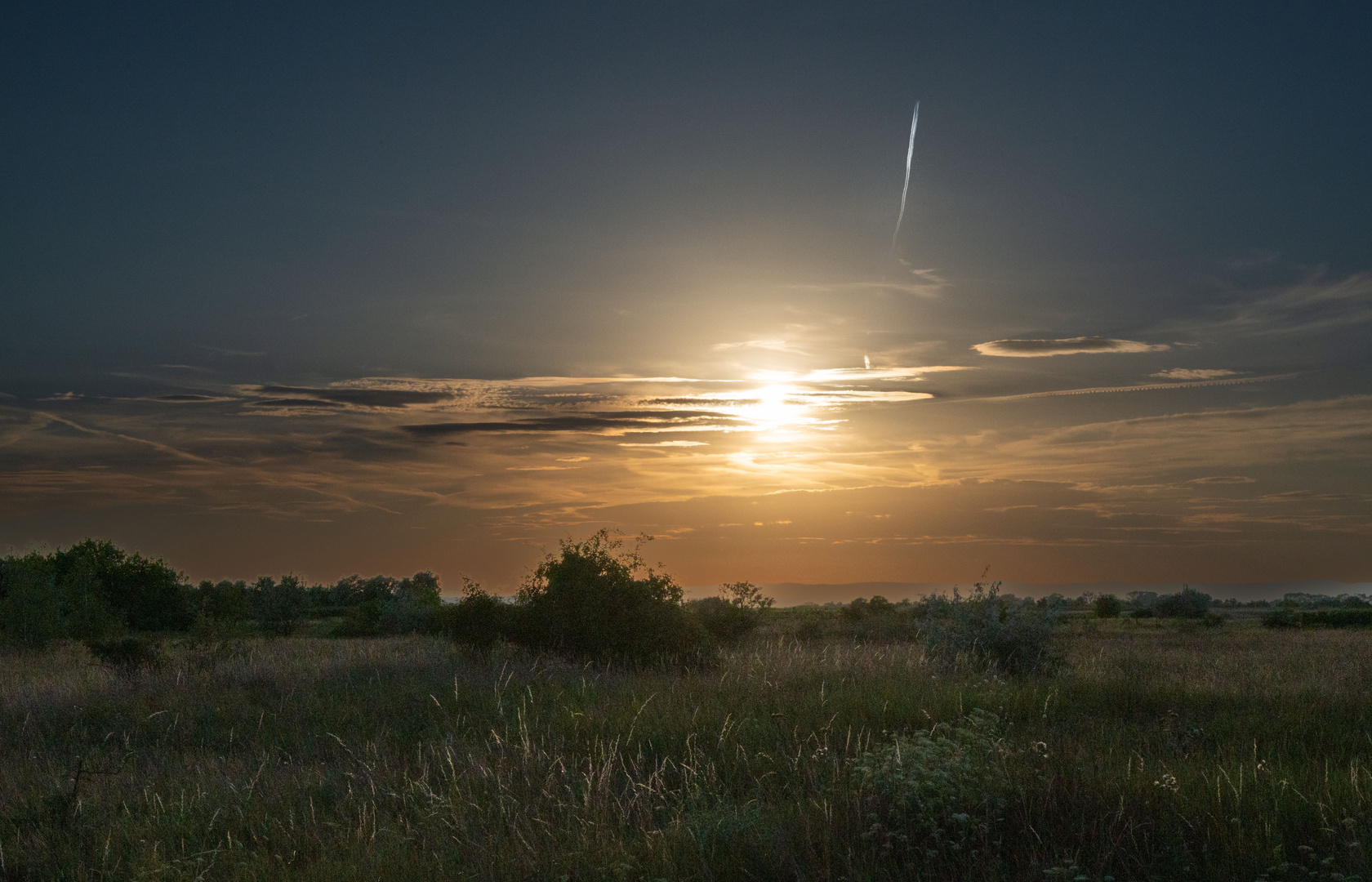 Illmitz - Seewinkel - Burgenland