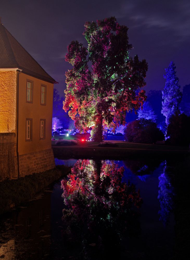 Illumina 2014 Schloss Dyck