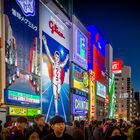 * * * Illuminated Advertising - Dotonbori-Bridge * * *