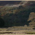 illuminated tree near keld