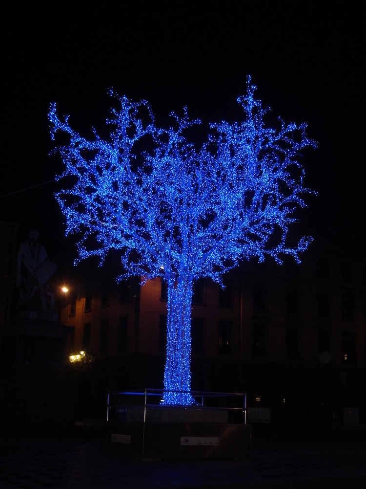 illumination d' arbre