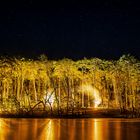 Illumination des Waldes