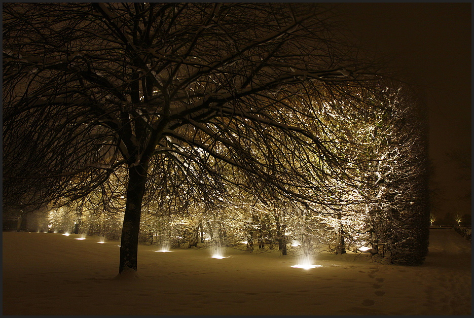 Illumination im Park