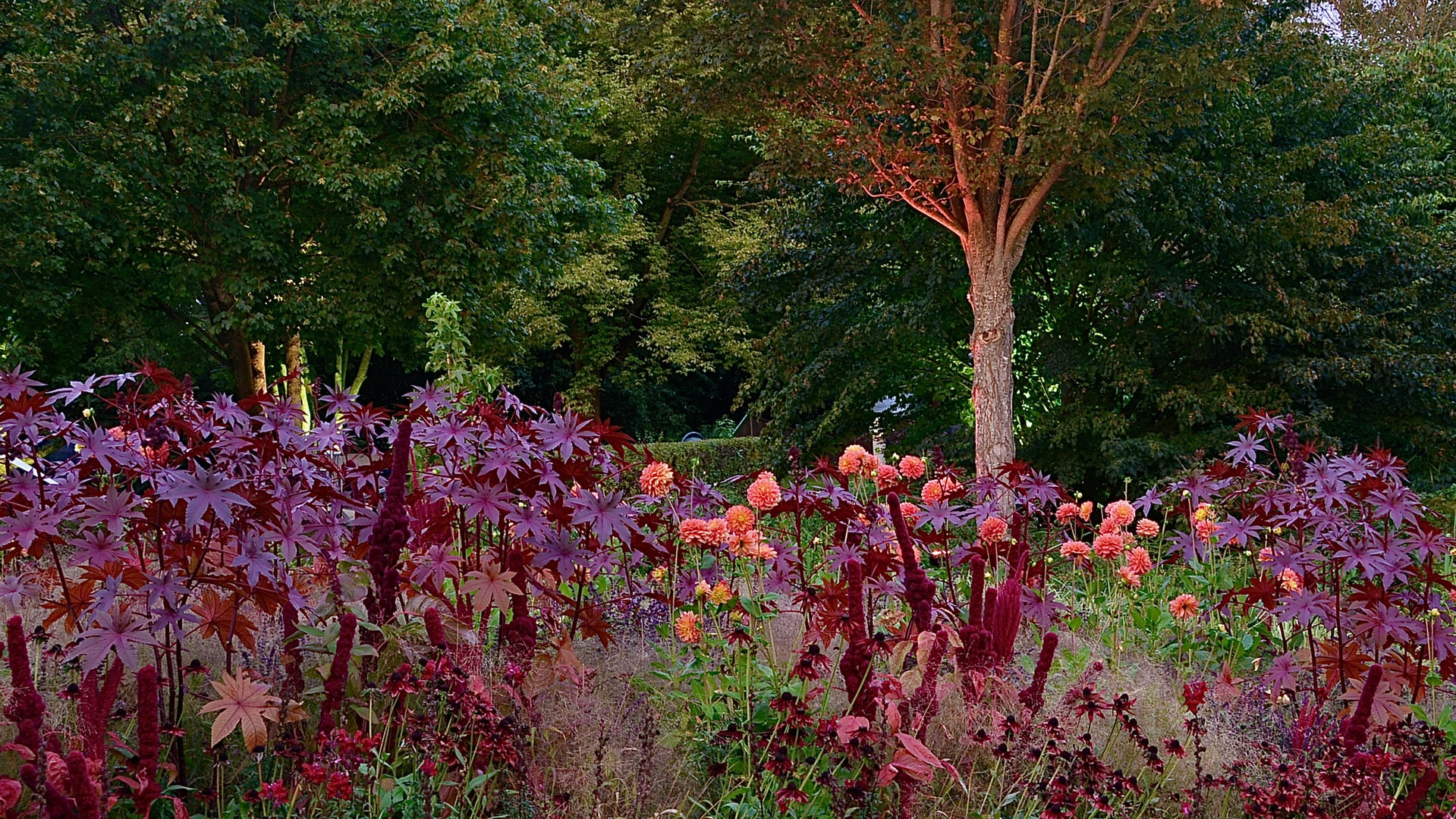 Illuminationen im park der Gärten