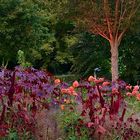 Illuminationen im park der Gärten