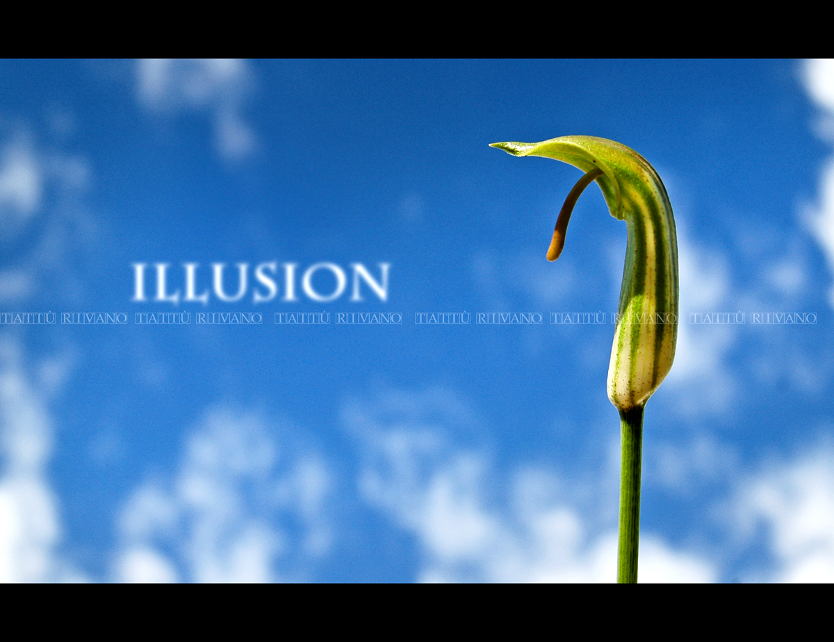 Illusion