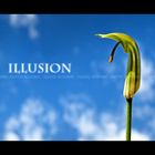 Illusion