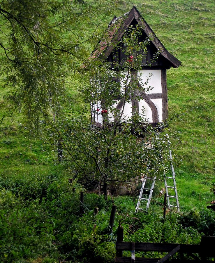 Illusion eines Häuschens im Grünen