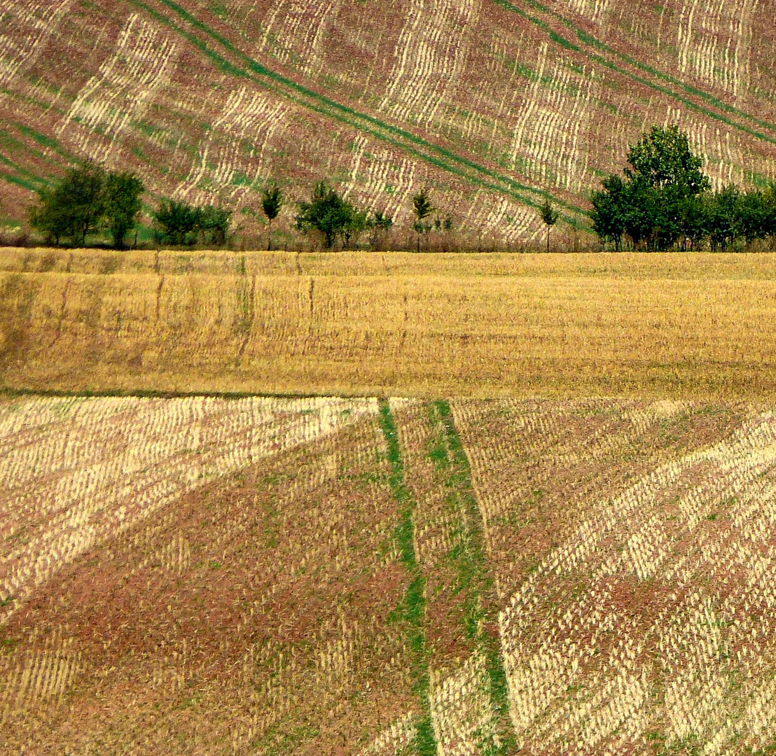 Illusion mit Vegetation