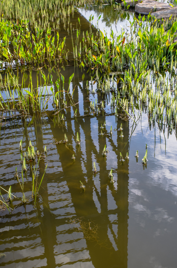 Illusionen in den Wassergärten Landsweiler-Reden