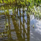 Illusionen in den Wassergärten Landsweiler-Reden