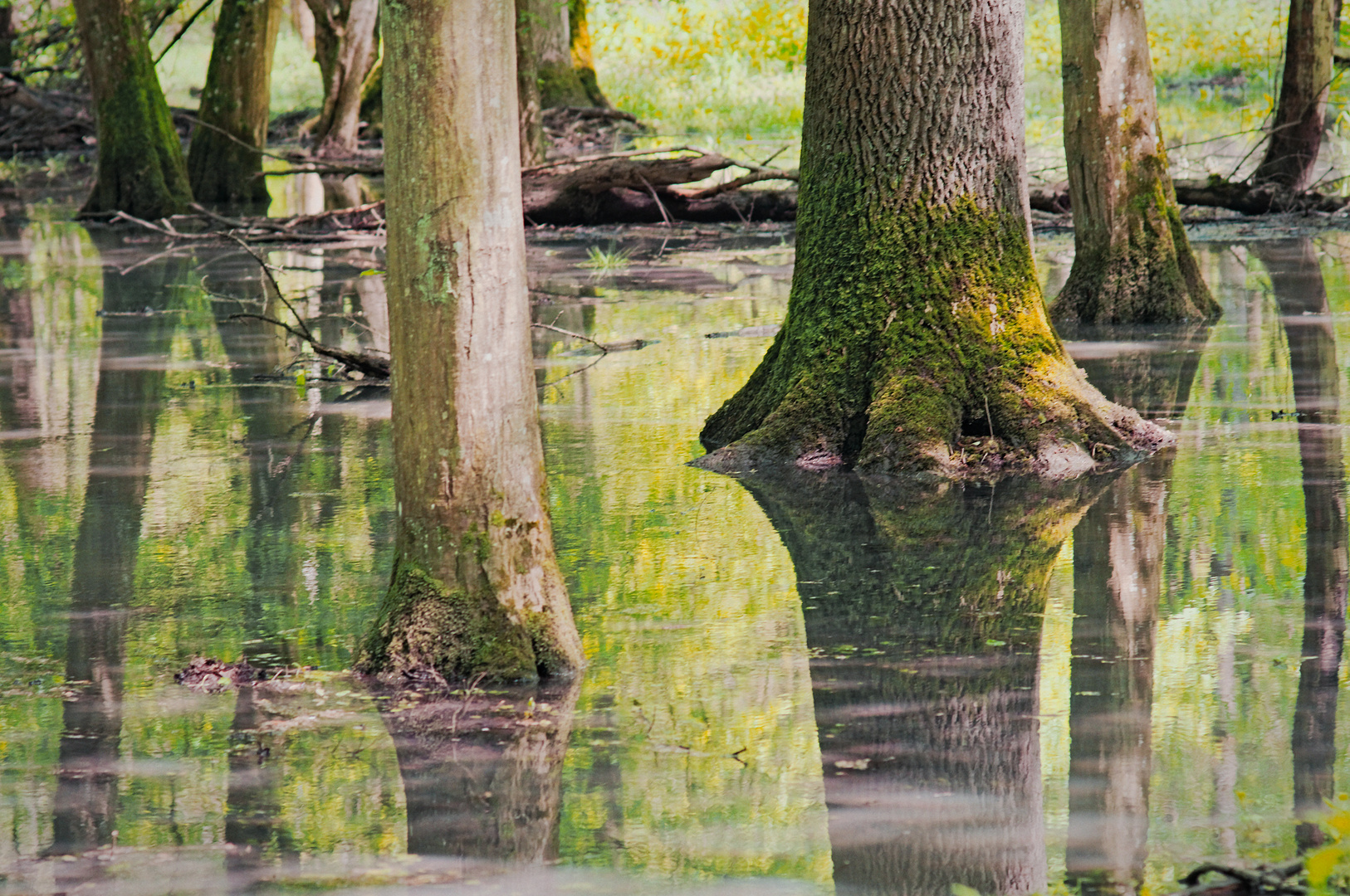 Illwald - Hochwasser