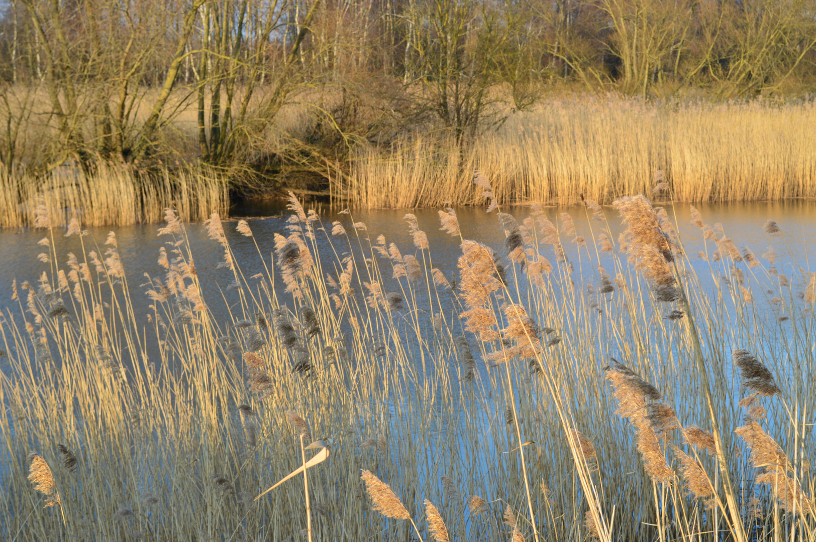 Ilmenau bei Stöckte, Winsen (Luhe)