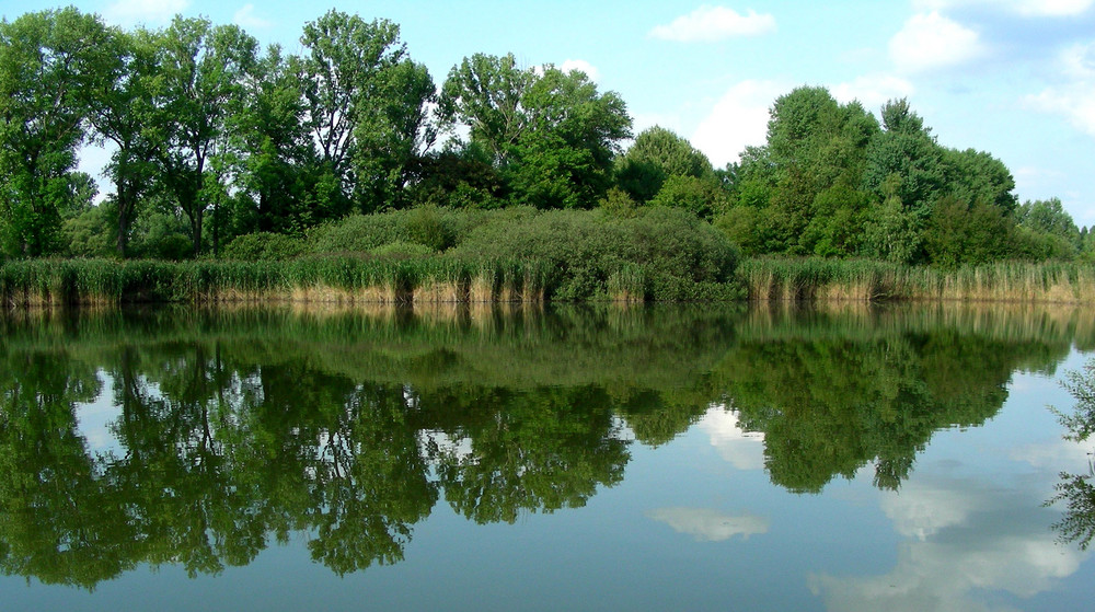 Ilmenauer Teiche Foto & Bild deutschland, europe, thüringen Bilder