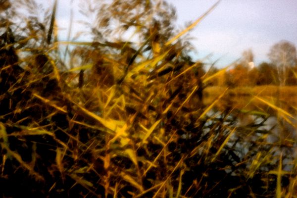 UrsChristian Kaas Fotos & Bilder Fotograf aus Oldenburg in