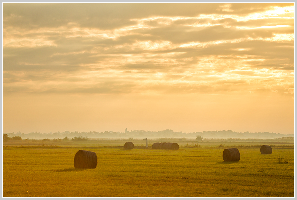 Ilmitz am Morgen