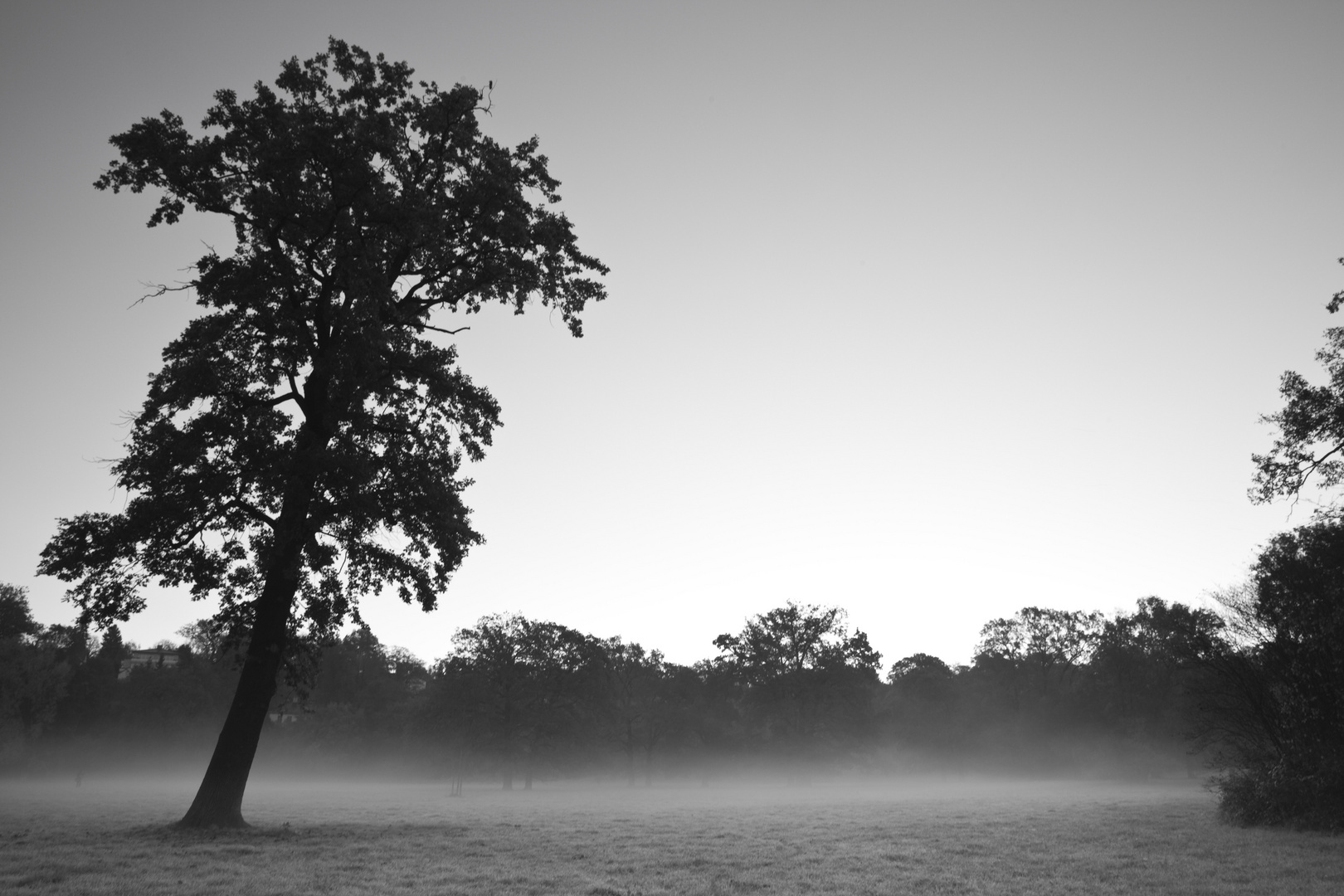 Ilmpark im Morgengrauen