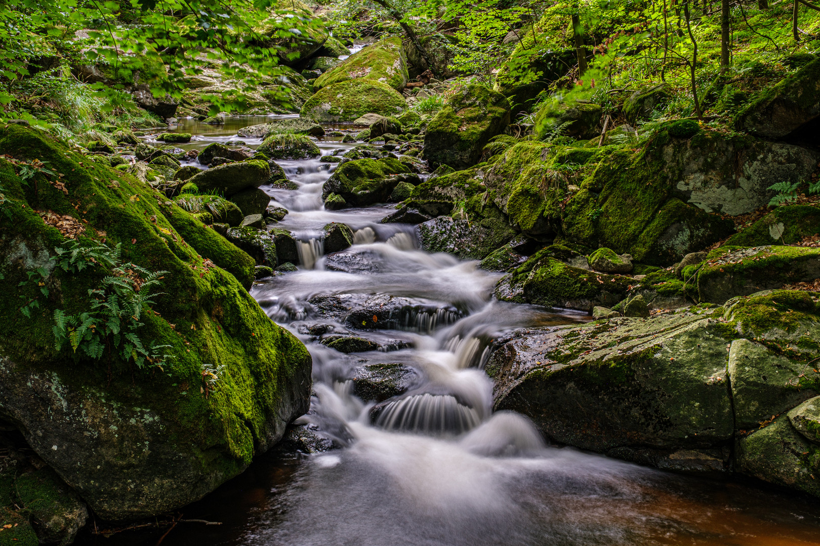 Ilse, Harz