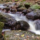 Ilse, Harz