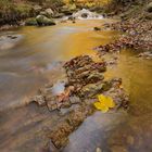 Ilse im herbstlichen Einfluss