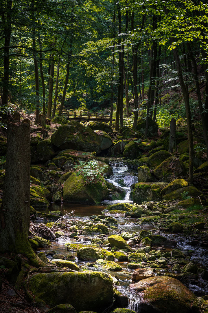 Ilse Wasserfälle in Harz