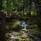 Ilse Wasserfälle in Harz