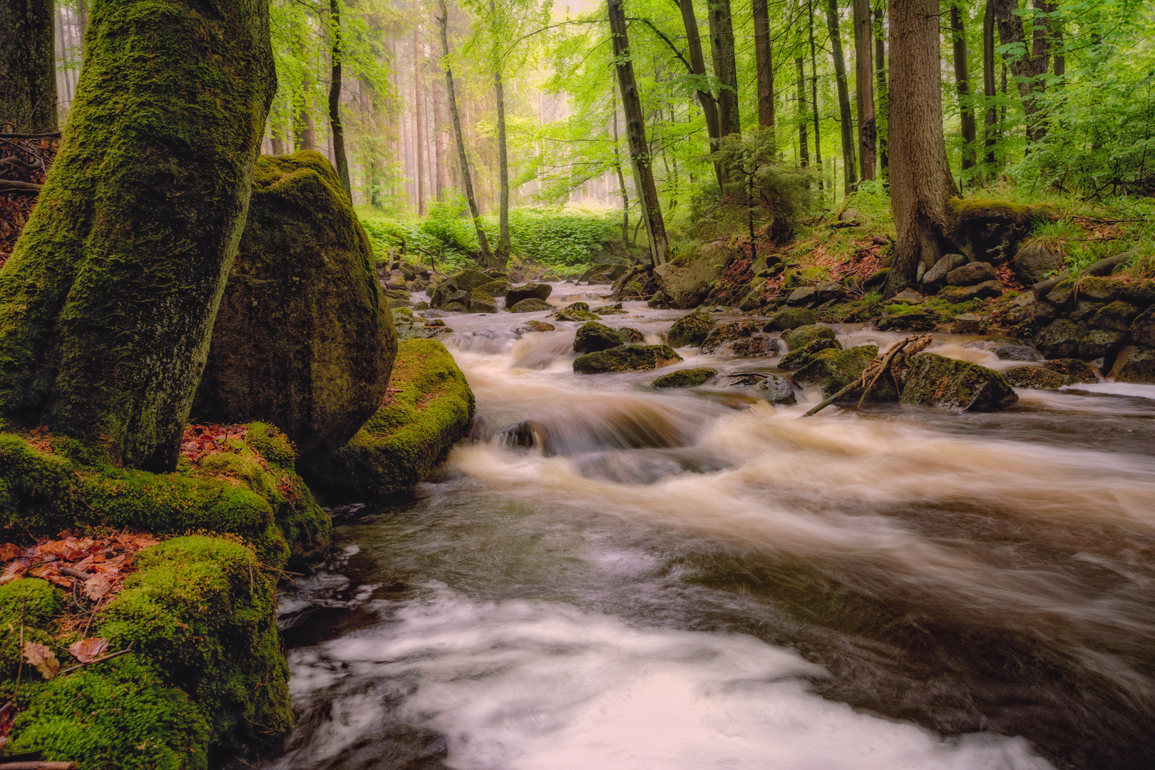 ILSEBACH WOOD Harz 