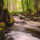 ILSEBACH WOOD Harz 