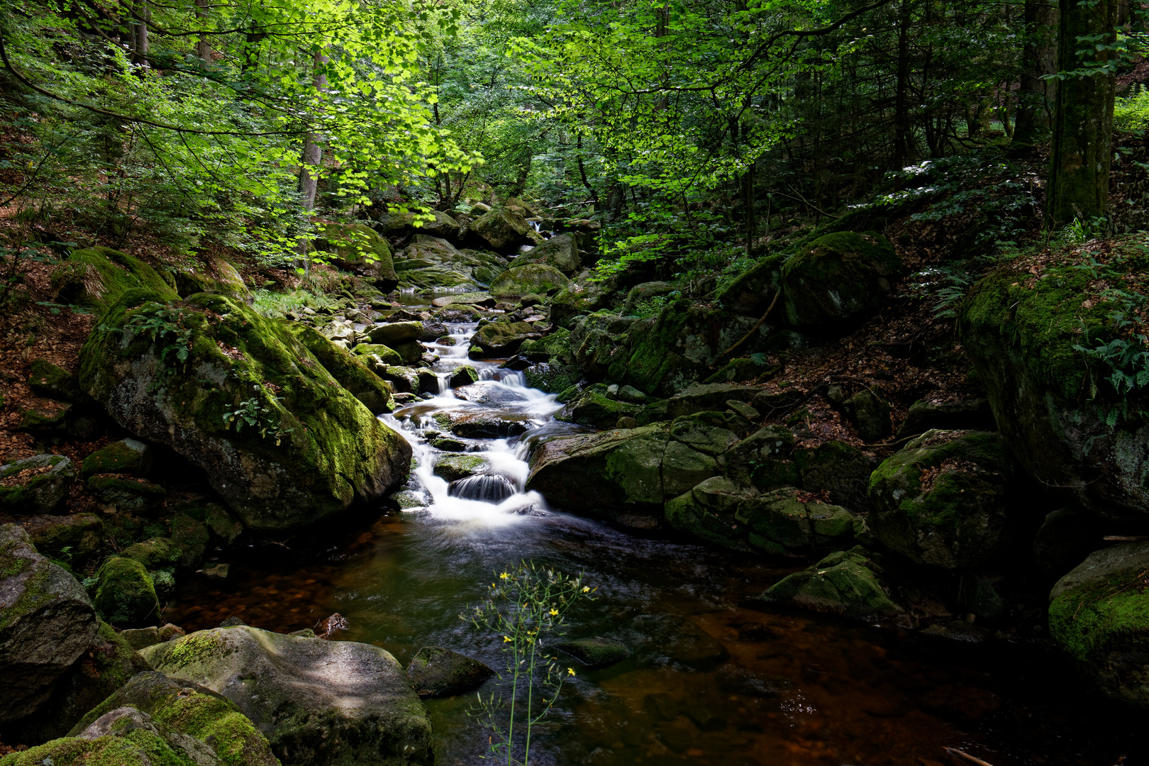 Ilsefälle bei Ilsenburg