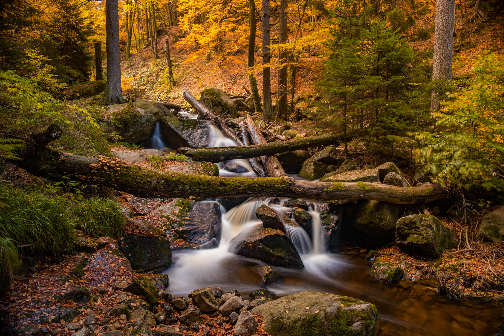 Ilsefälle, Harz 