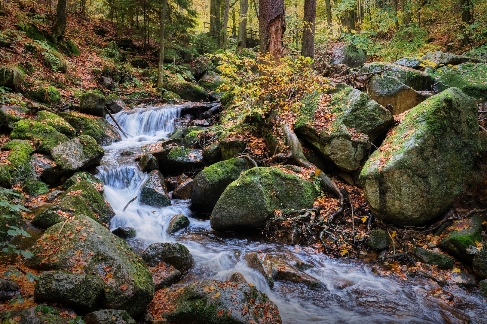 Ilsefälle | Harz