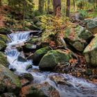 Ilsefälle | Harz