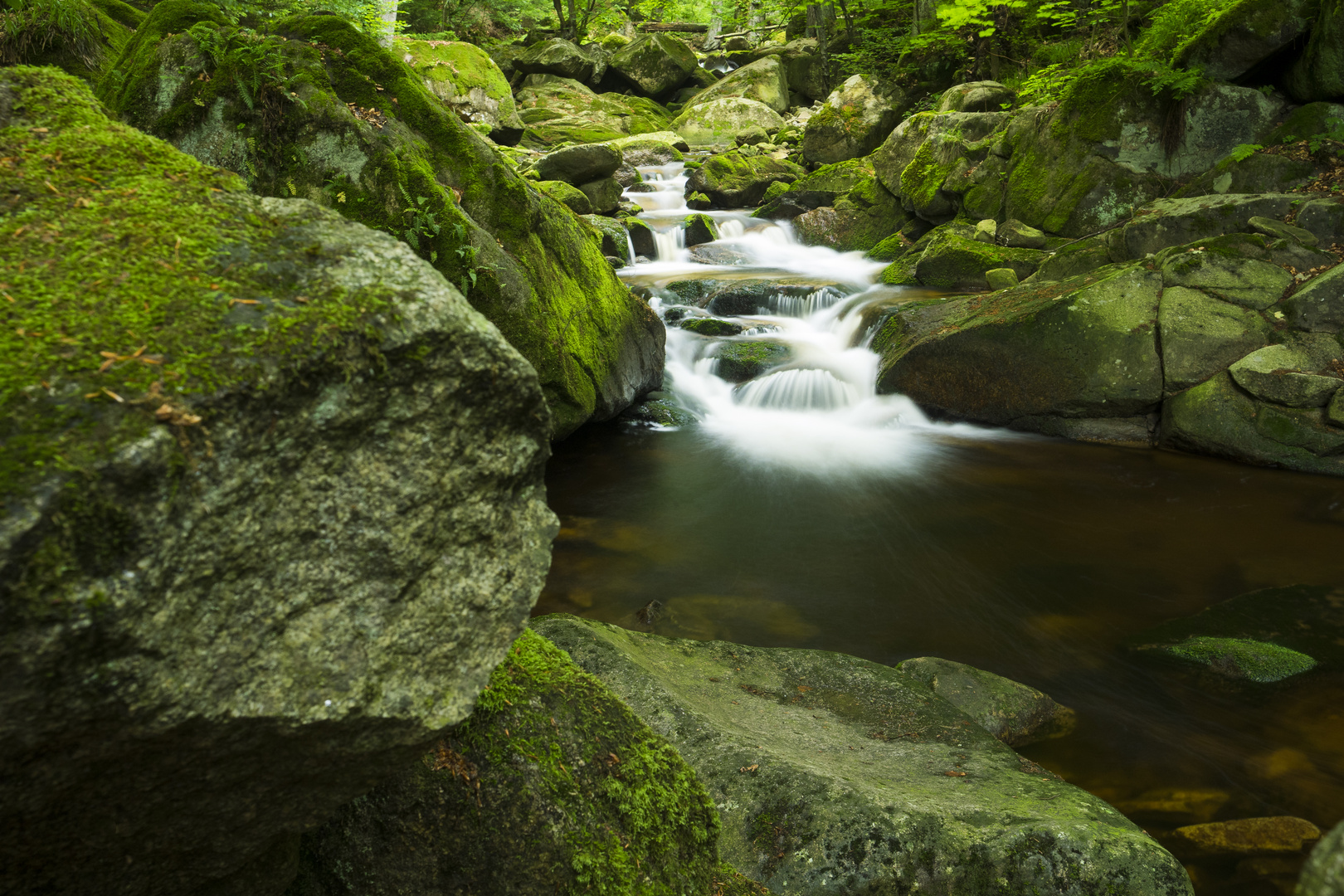 Ilsefälle im Harz 2