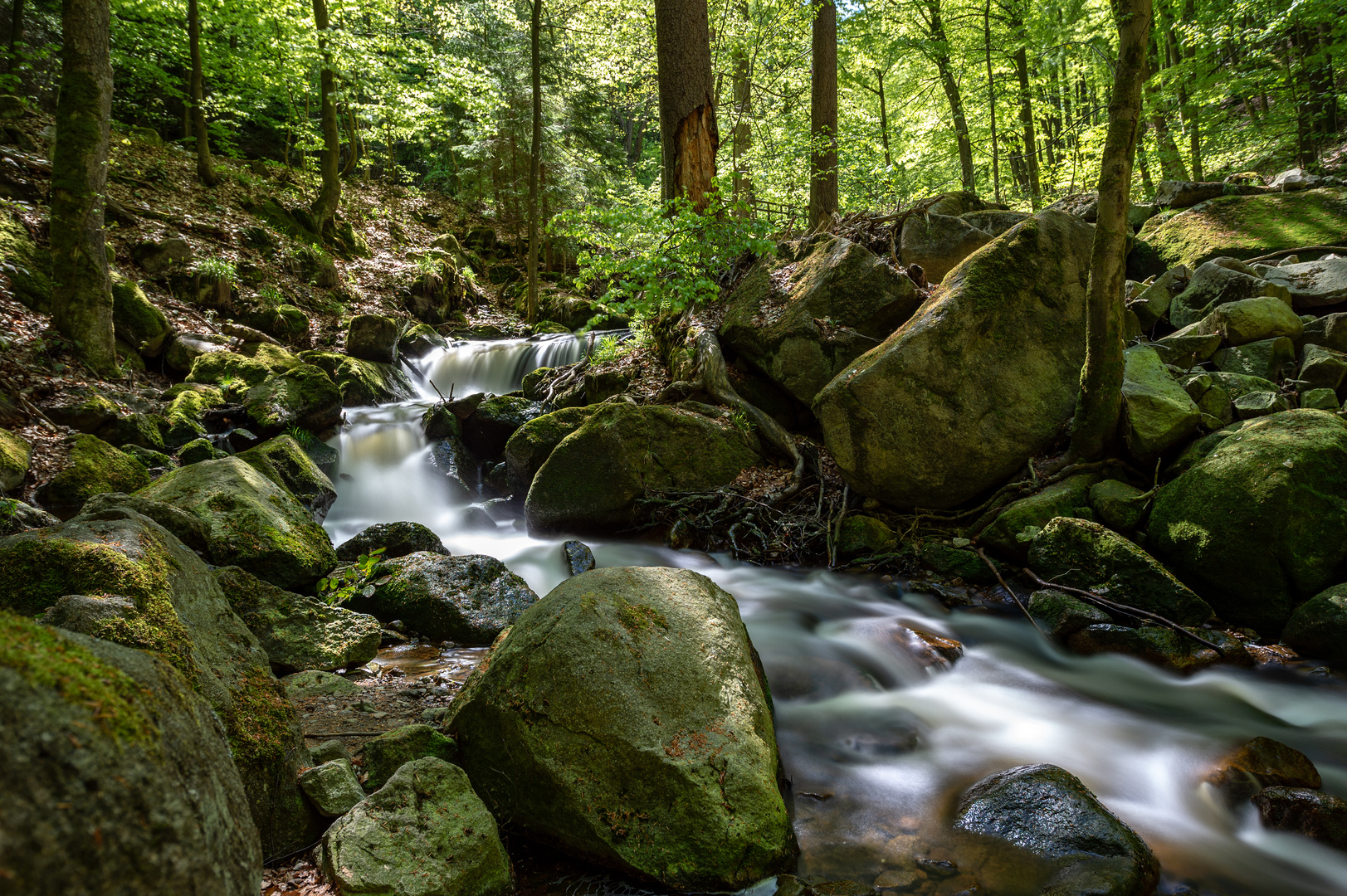 Ilsefälle im Harz