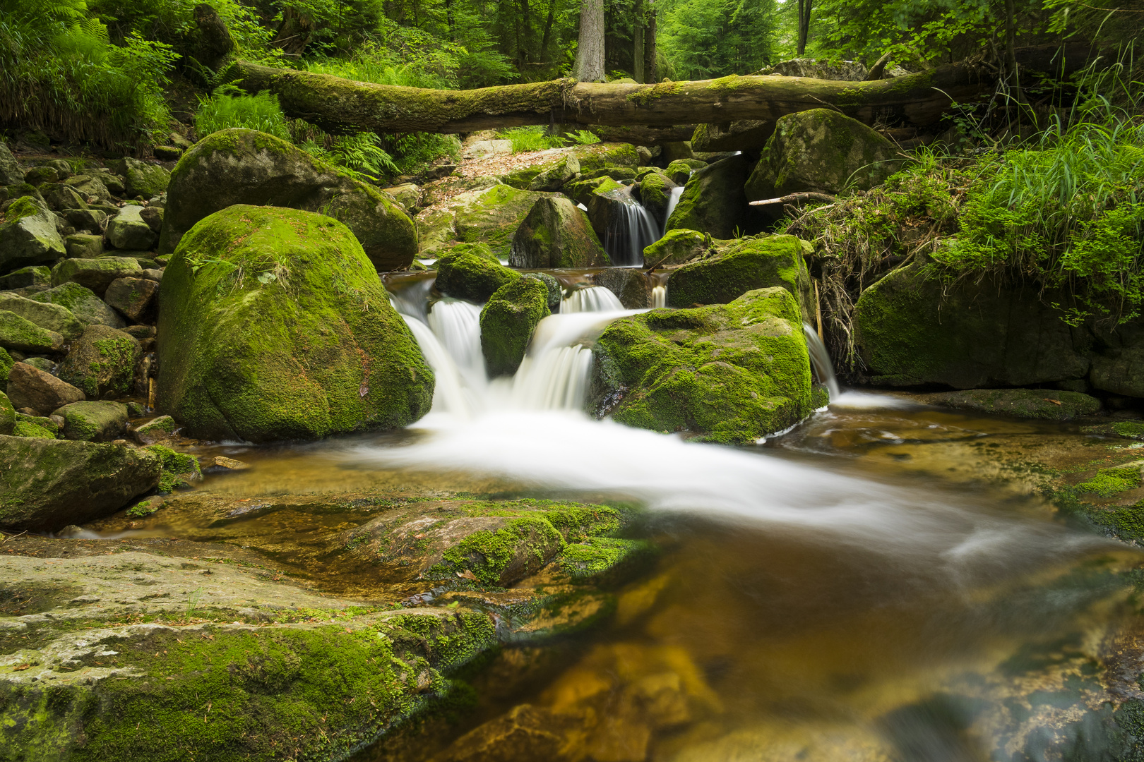 Ilsefälle im Harz