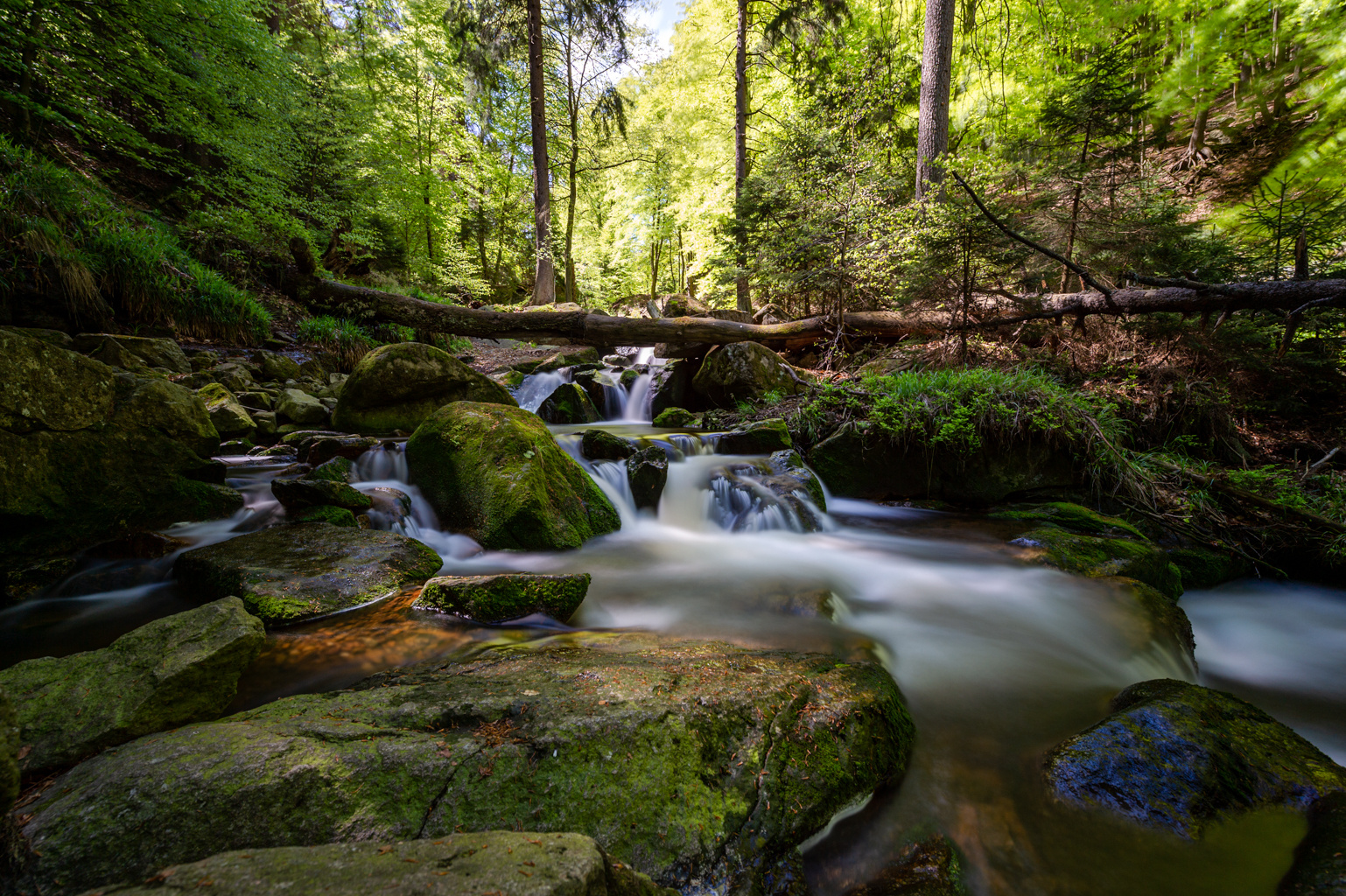 Ilsefälle im Harz