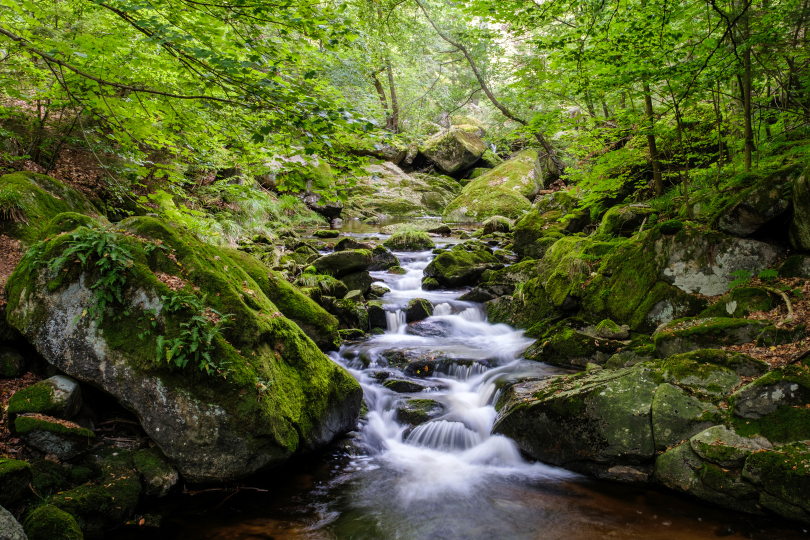 Ilsefälle im Harz