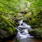 Ilsefälle im Harz