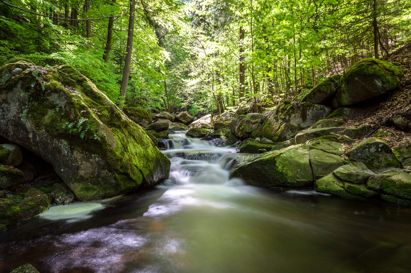 Ilsefälle im Harz