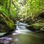 Ilsefälle im Harz