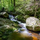 Ilsefälle im Harz